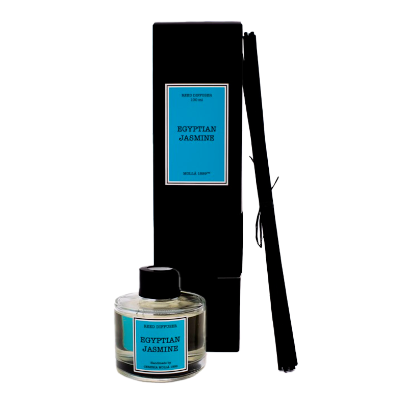 31113 MOLLA MIKADO JASMIN ÉGYPTIEN 100ML
