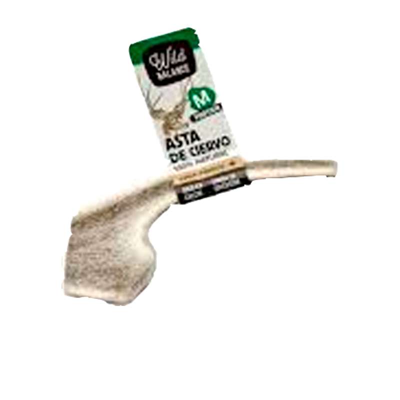 32318 WILD BALANCE STAGHORN DEER ANTLER M SPLIT