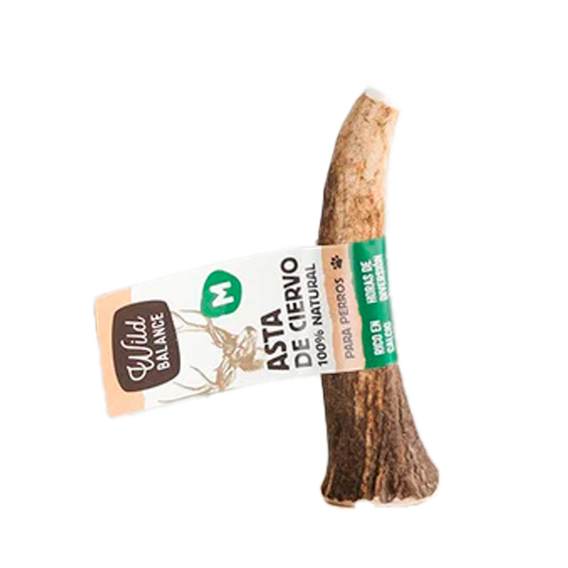 32319 WILD BALANCE HIRSCHHORN M