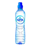 1393 SPA REINE AGUA NATURAL 500ML