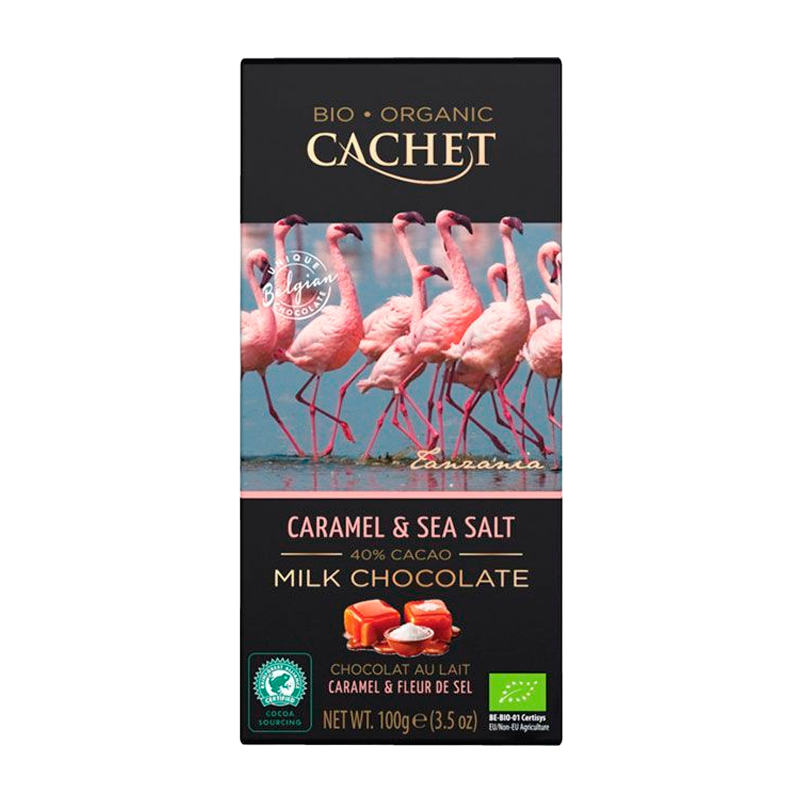 32835 CACHET BIO-SCHOKOLADE KARAMELL UND FLEUR DE SEL 100G