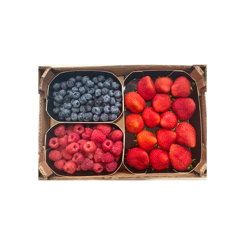 34416 COMBI BERRIES 750GR