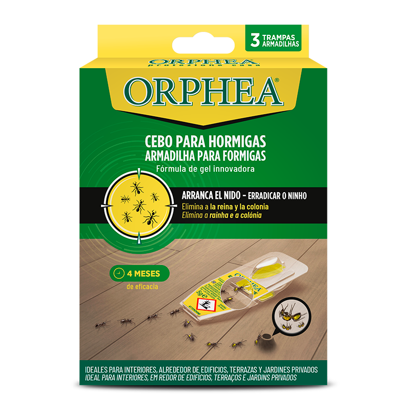 34509 ORPHEA ANTS