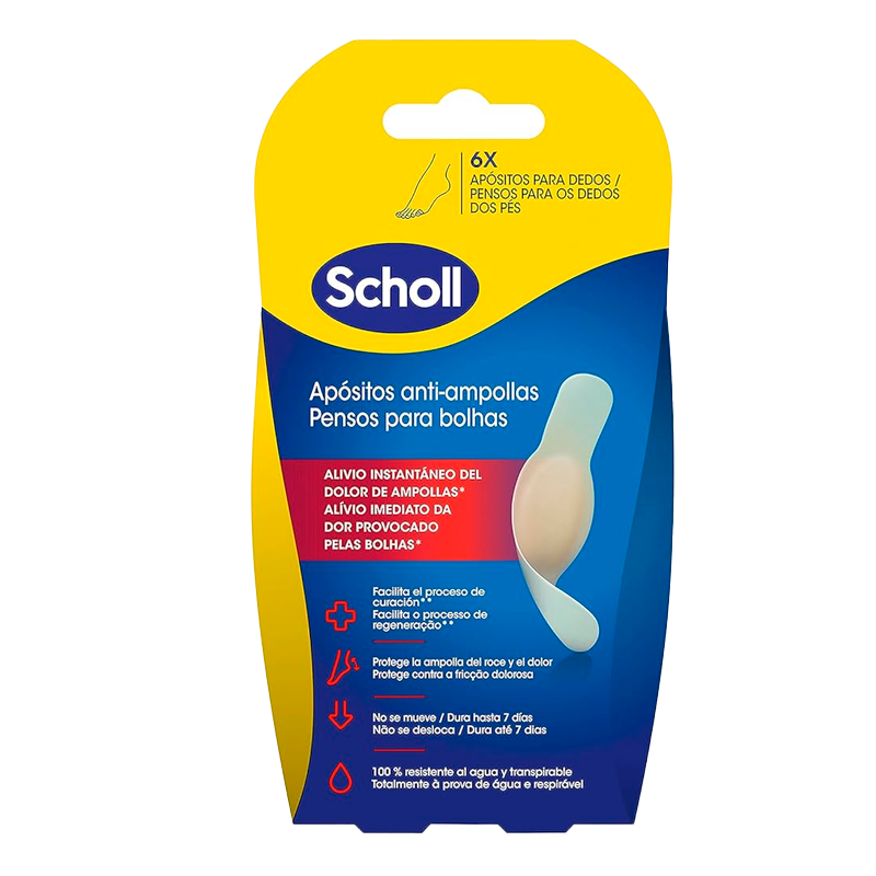 34878 SCHOL MITTLERE AMPULLEN