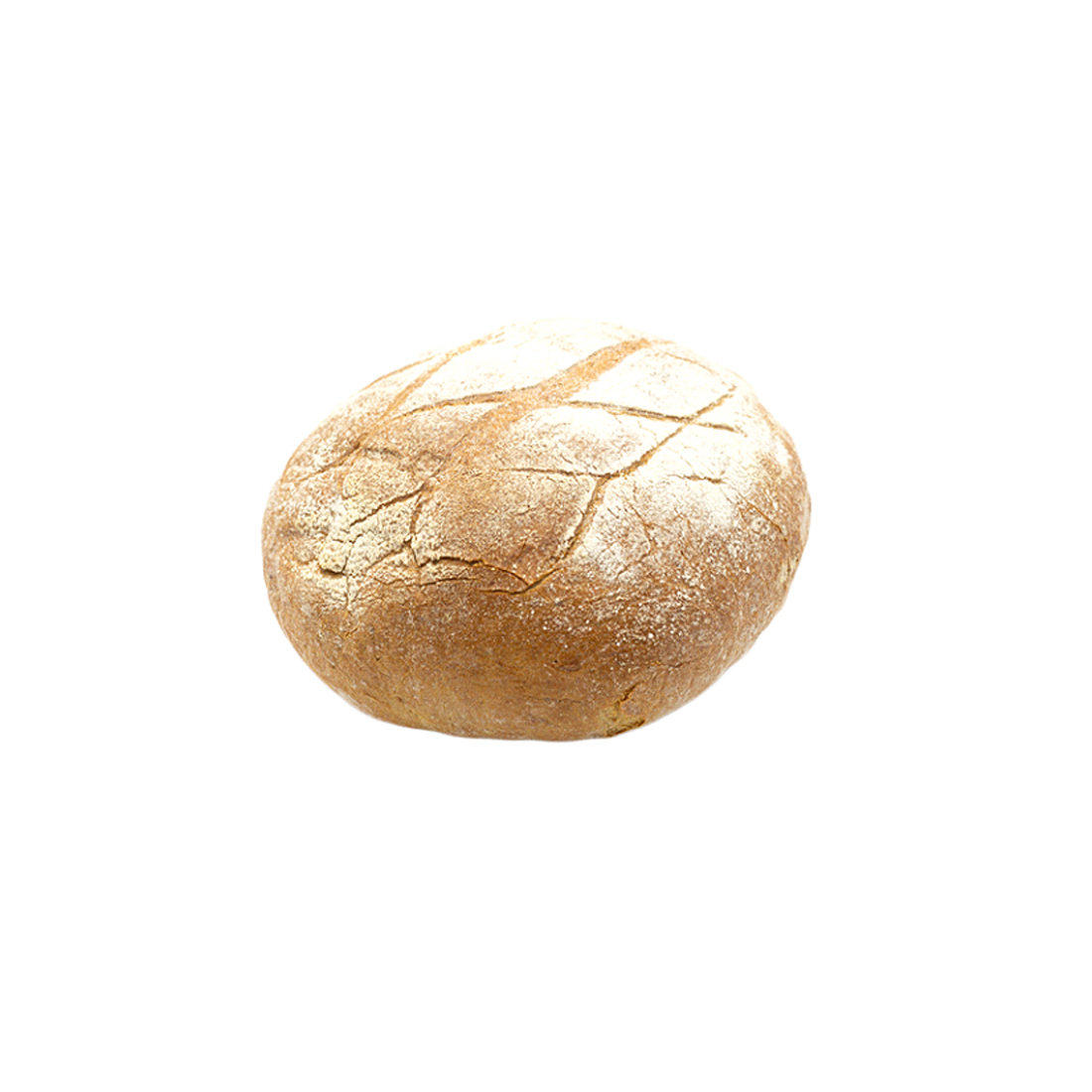 91563 – Merienda Labrador